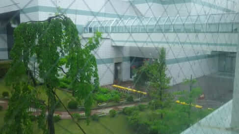 郡山女子大教授が無断でナイル川クルーズ コロナ感染し卒業式中止の問題点 銀鼠ニュース 郡山女子大教授が無断でナイル川クルーズ コロナ感染し卒業式中止の問題点 銀鼠ニュース